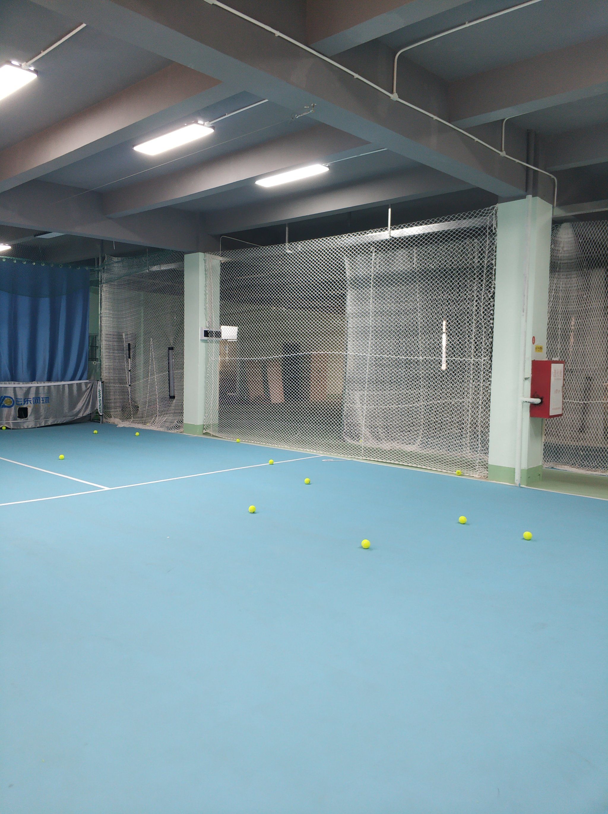 2岁的前锋 2岁的前锋