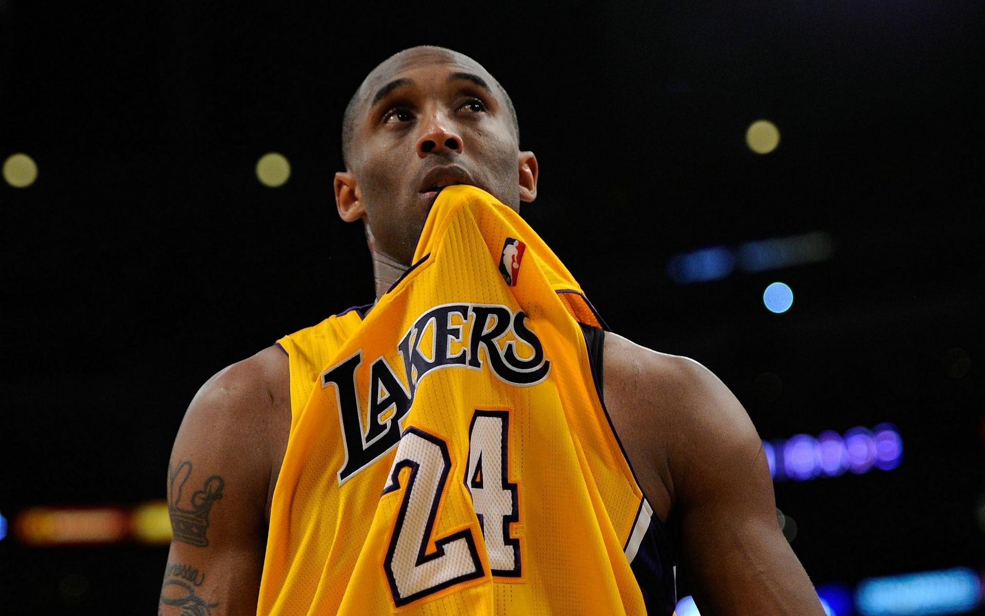 自从发布以 自从发布以